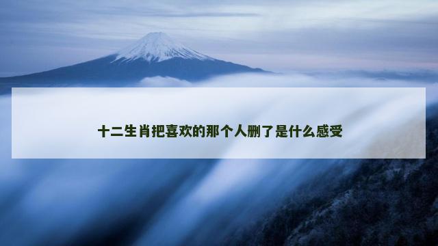 十二生肖把喜欢的那个人删了是什么感受