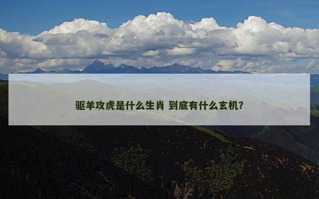 驱羊攻虎是什么生肖 到底有什么玄机？