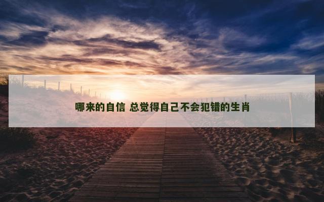 哪来的自信 总觉得自己不会犯错的生肖