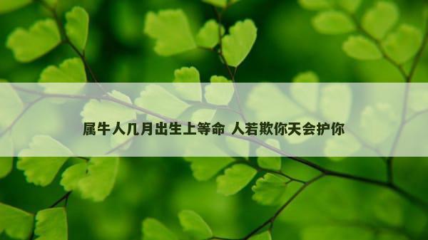属牛人几月出生上等命 人若欺你天会护你