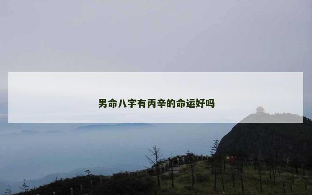 男命八字有丙辛的命运好吗
