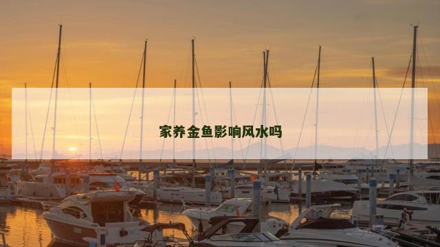家养金鱼影响风水吗