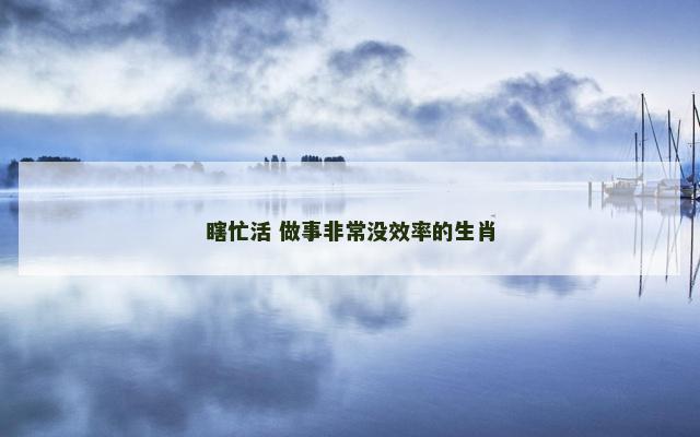 瞎忙活 做事非常没效率的生肖