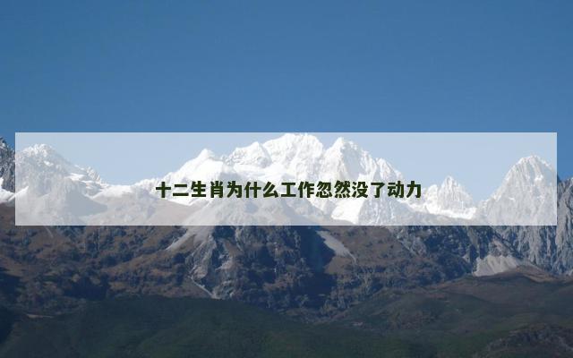十二生肖为什么工作忽然没了动力