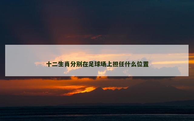 十二生肖分别在足球场上担任什么位置