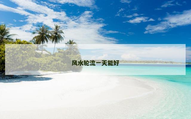 风水轮流一天能好