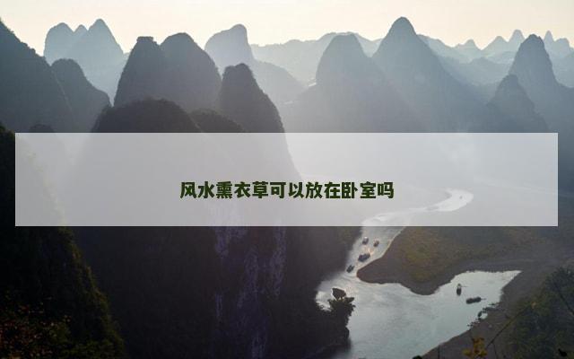 风水熏衣草可以放在卧室吗