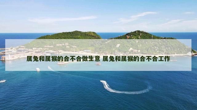 属兔和属猴的合不合做生意 属兔和属猴的合不合工作