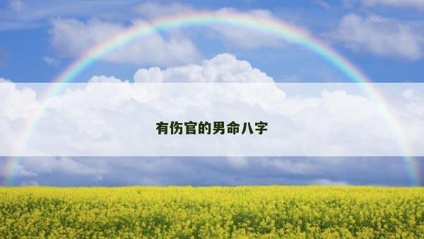 有伤官的男命八字