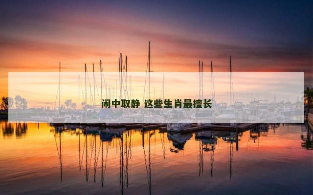 闹中取静 这些生肖最擅长