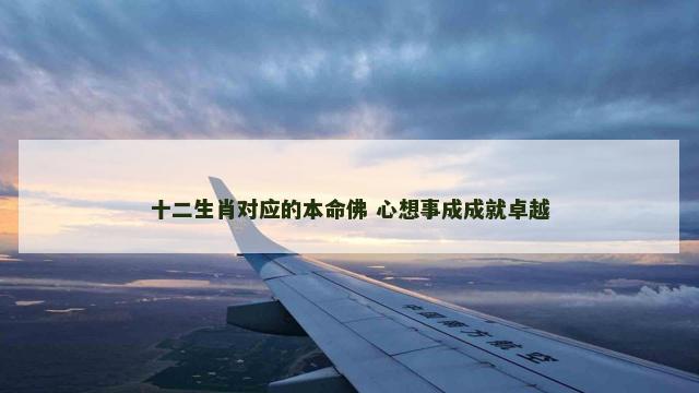 十二生肖对应的本命佛 心想事成成就卓越