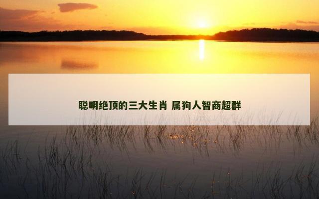 聪明绝顶的三大生肖 属狗人智商超群