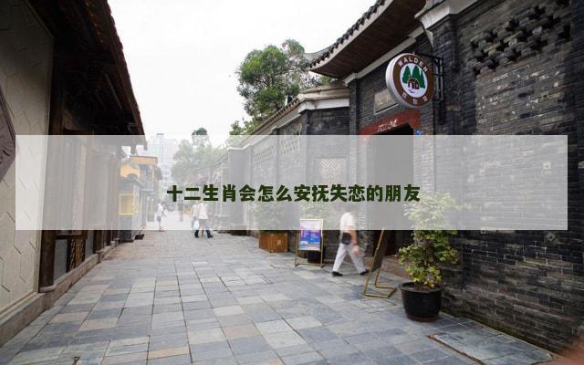 十二生肖会怎么安抚失恋的朋友