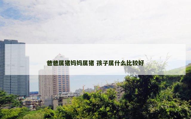 爸爸属猪妈妈属猪 孩子属什么比较好