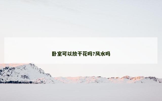 卧室可以放干花吗?风水吗