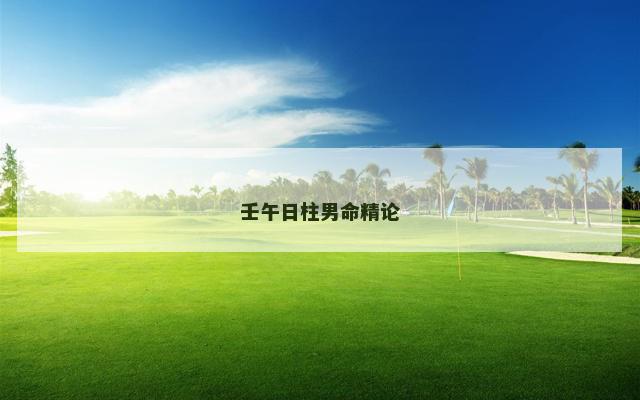 壬午日柱男命精论