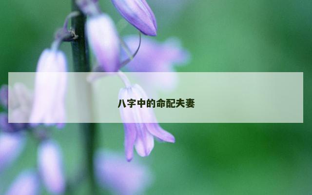 八字中的命配夫妻