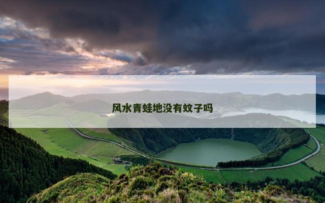 风水青蛙地没有蚊子吗