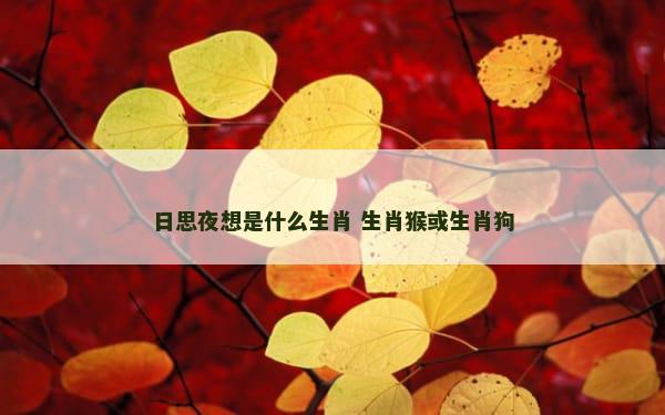 日思夜想是什么生肖 生肖猴或生肖狗