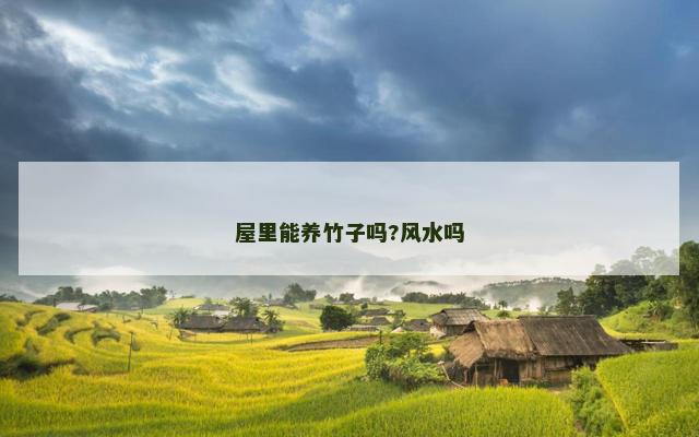 屋里能养竹子吗?风水吗