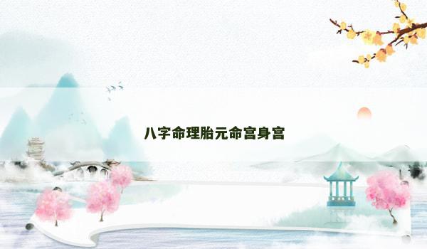 八字命理胎元命宫身宫