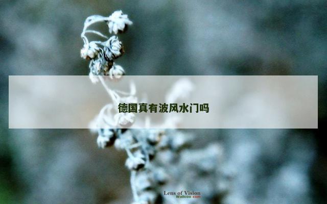 德国真有波风水门吗