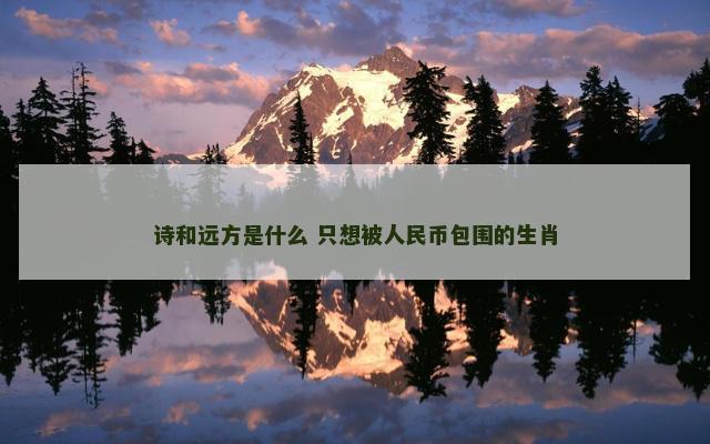 诗和远方是什么 只想被人民币包围的生肖