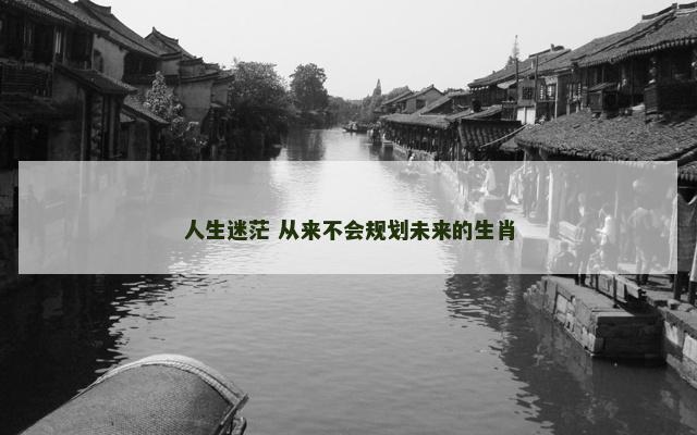 人生迷茫 从来不会规划未来的生肖