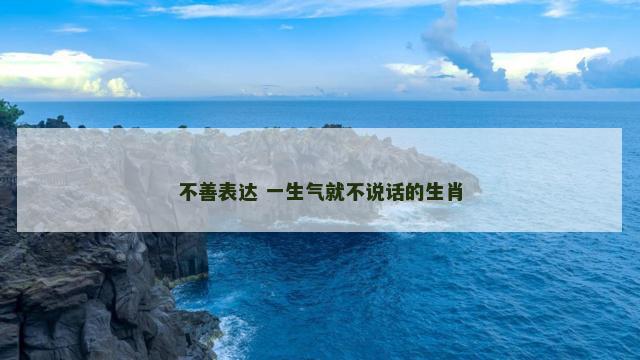 不善表达 一生气就不说话的生肖