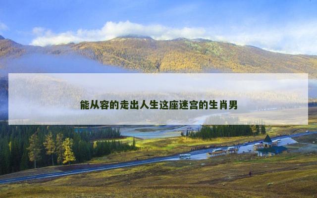 能从容的走出人生这座迷宫的生肖男