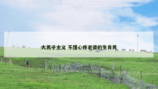 大男子主义 不懂心疼老婆的生肖男