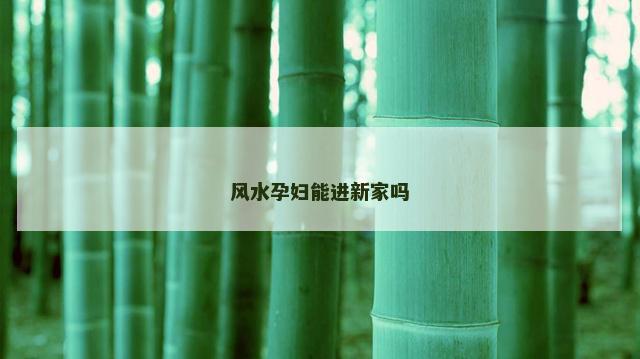 风水孕妇能进新家吗
