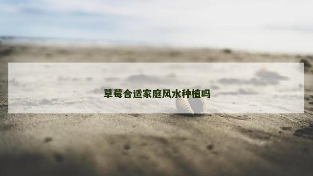 草莓合适家庭风水种植吗
