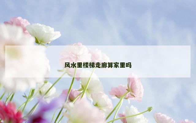 风水里楼梯走廊算家里吗