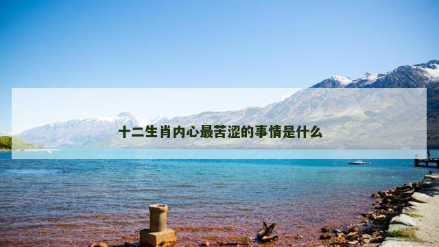 十二生肖内心最苦涩的事情是什么