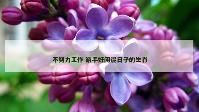不努力工作 游手好闲混日子的生肖