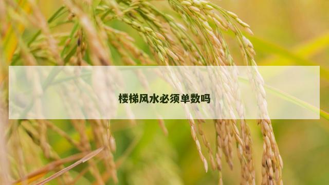 楼梯风水必须单数吗