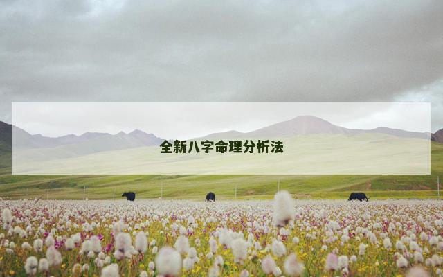 全新八字命理分析法