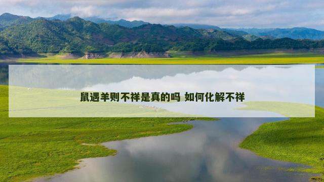 鼠遇羊则不祥是真的吗 如何化解不祥
