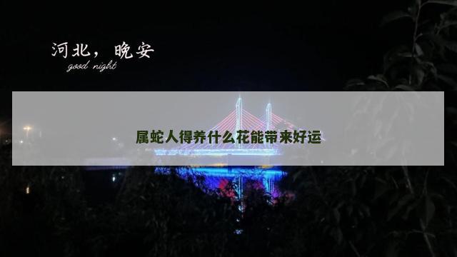 属蛇人得养什么花能带来好运