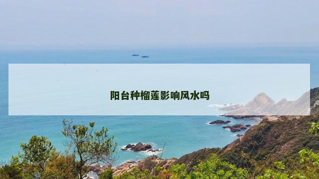 阳台种榴莲影响风水吗