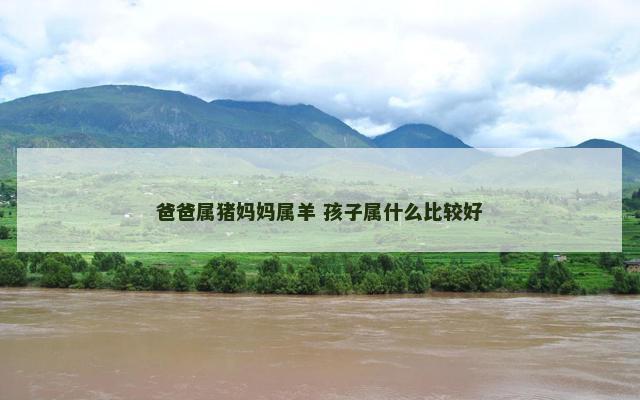 爸爸属猪妈妈属羊 孩子属什么比较好