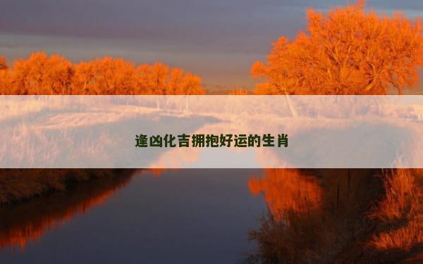 逢凶化吉拥抱好运的生肖