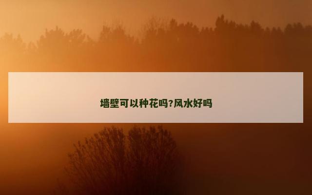 墙壁可以种花吗?风水好吗