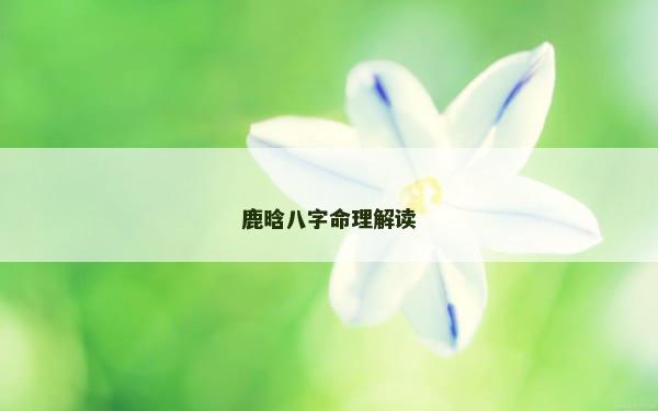 鹿晗八字命理解读