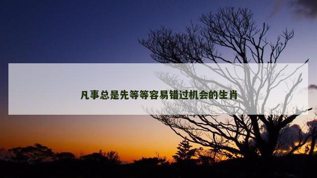 凡事总是先等等容易错过机会的生肖