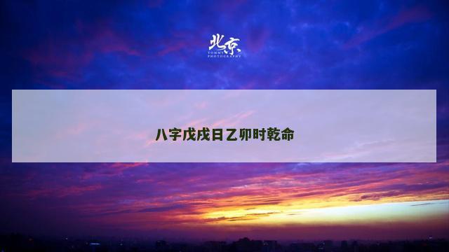 八字戊戌日乙卯时乾命