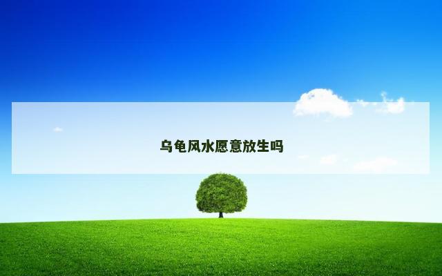 乌龟风水愿意放生吗