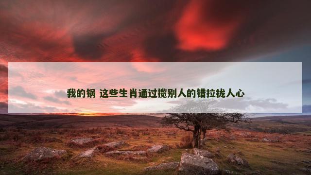 我的锅 这些生肖通过揽别人的错拉拢人心