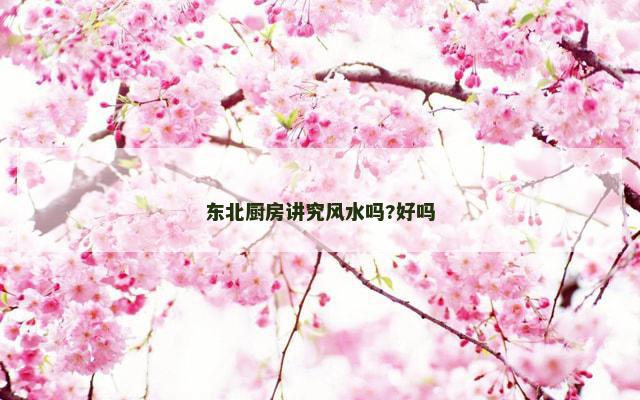 东北厨房讲究风水吗?好吗